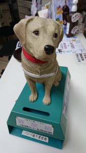盲導犬募金箱 (1)